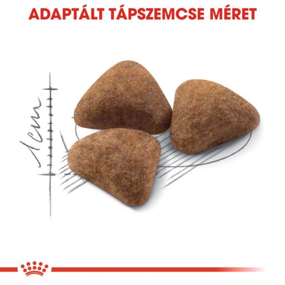ROYAL CANIN INDOOR 27 2kg Macska száraztáp