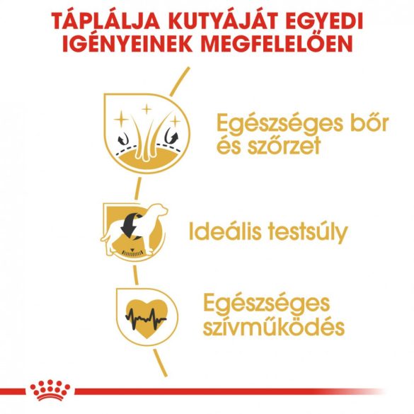 ROYAL CANIN COCKER ADULT - Cocker Spániel felnőtt kutya száraz táp  (3 kg)