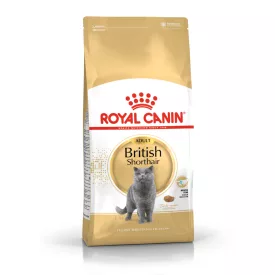 Royal Canin FBN Cat British Shorthair Adult 10kg
