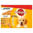4x Pedigree Alutasak 12x100g Junior