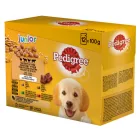 4x Pedigree Alutasak 12x100g Junior
