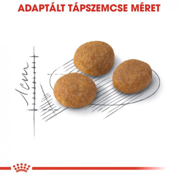 ROYAL CANIN AROMA EXIGENT 33 2kg Macska száraztáp