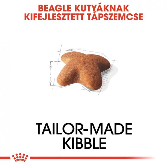ROYAL CANIN BEAGLE ADULT 3kg Száraz kutyatáp