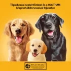 24x Pedigree Junior konzerv csirkehússal aszpikban kölyökkutyák számára 400g