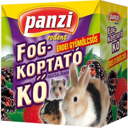 10x Panzi Fogkoptató erdei gyümölcs 55g