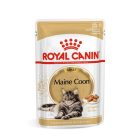 Royal Canin FBN Maine Coon Adult 12x85g