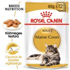 Royal Canin FBN Maine Coon Adult 12x85g