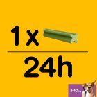 Pedigree DentaStix Fresh 110g