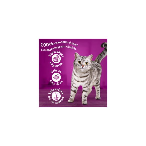 Whiskas 14kg Csirke