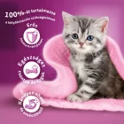 Whiskas 14kg Junior száraztáp kölyökcicák számára csirkével
