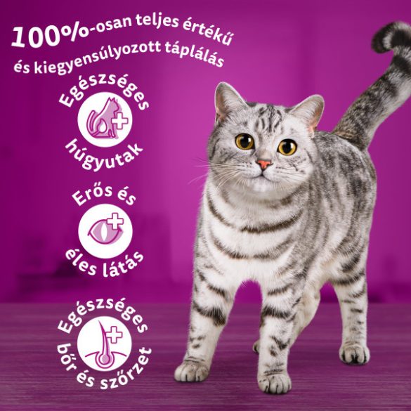 Whiskas 14kg Tonhal