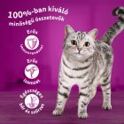 13x Whiskas 4x85g Klasszikus ételek mártásban FD15K/DF22X
