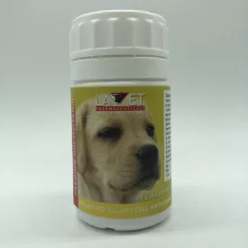 12x LAVET Prémium Multivitamin kutyáknak