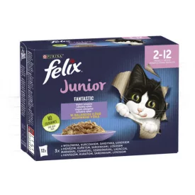 6x Félix 12x85g Fantastic Junior
