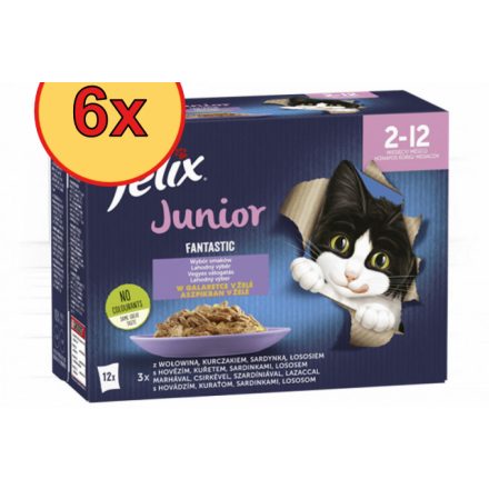 6x Félix 12x85g Fantastic Junior
