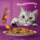 4x Whiskas Tasty Mix Chef's Choice Vegyes válogatás Mártásban Alutasakos macskaeledel 12x85g