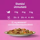 4x Whiskas Tasty Mix Chef's Choice Vegyes válogatás Mártásban Alutasakos macskaeledel 12x85g