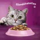 Whiskas száraz 1,4kg Lazac