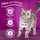 4x Whiskas Tasty Mix Creamy Creations Vegyes válogatás Mártásban Alutasakos macskaeledel 12x85g