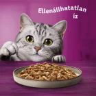 4x Whiskas Pure Delight Vegyes válogatás Aszpikban Alutasakos macskaeledel 12x85g