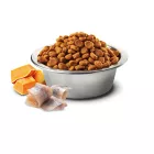 N&D Ocean Dog tőkehal, sütőtök és narancs adult mini 7kg