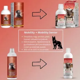   Arthrocol Mobility Senior Komplex ízület- és porcerősítő tápkiegészítő kutyáknak 300ml