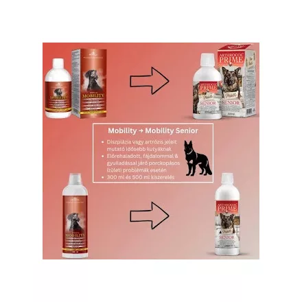 Arthrocol Mobility Senior Komplex ízület- és porcerősítő tápkiegészítő kutyáknak 300ml
