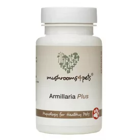 Armilliaria Plus 500mg 60db
