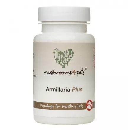 Armilliaria Plus 500mg 60db
